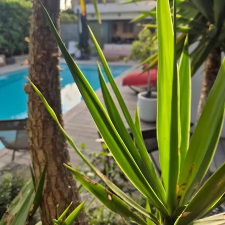 فندق مبيت وإفطار La Blanche 4*